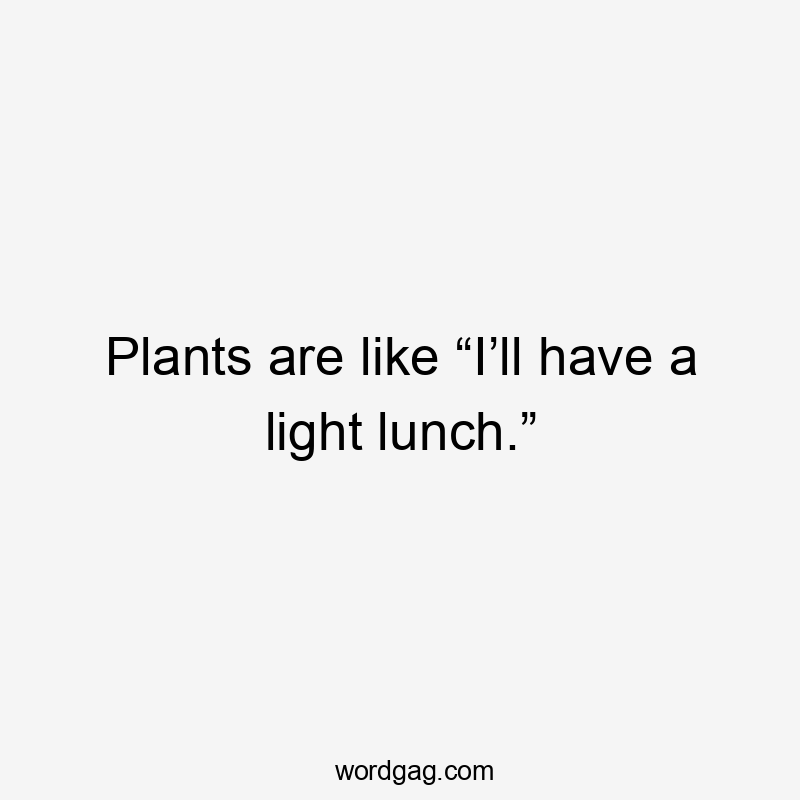 Plants are like “I’ll have a light lunch.”