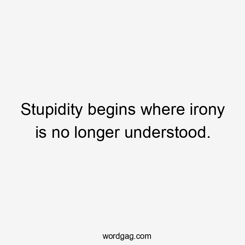 Stupidity begins where irony is no longer understood.