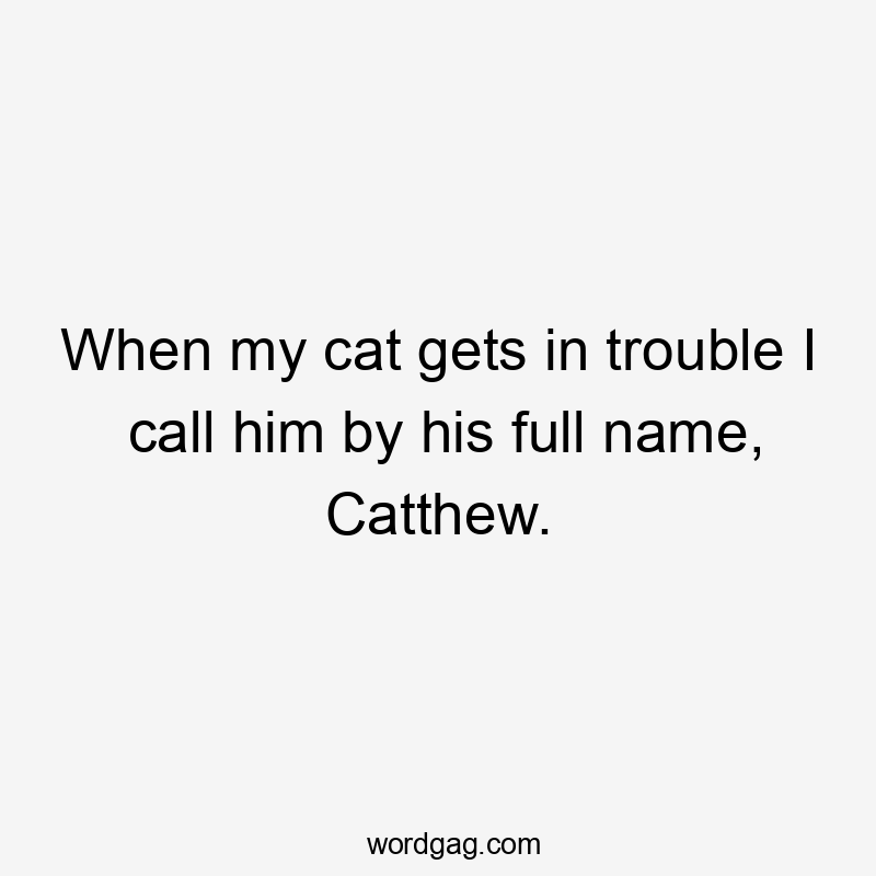 When my cat gets in trouble I call him by his full name, Catthew.