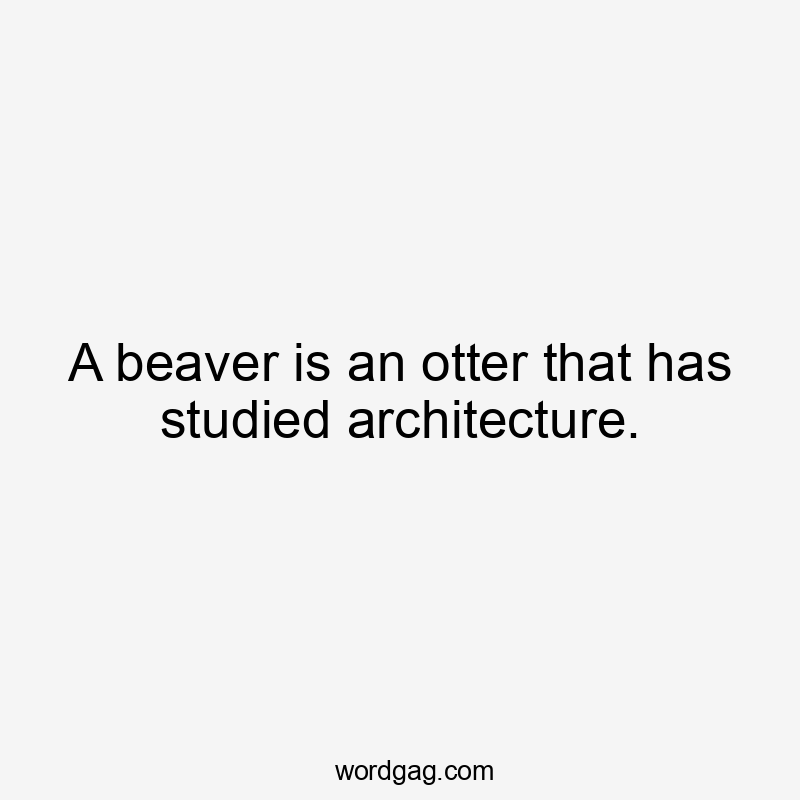 A beaver is an otter that has studied architecture.