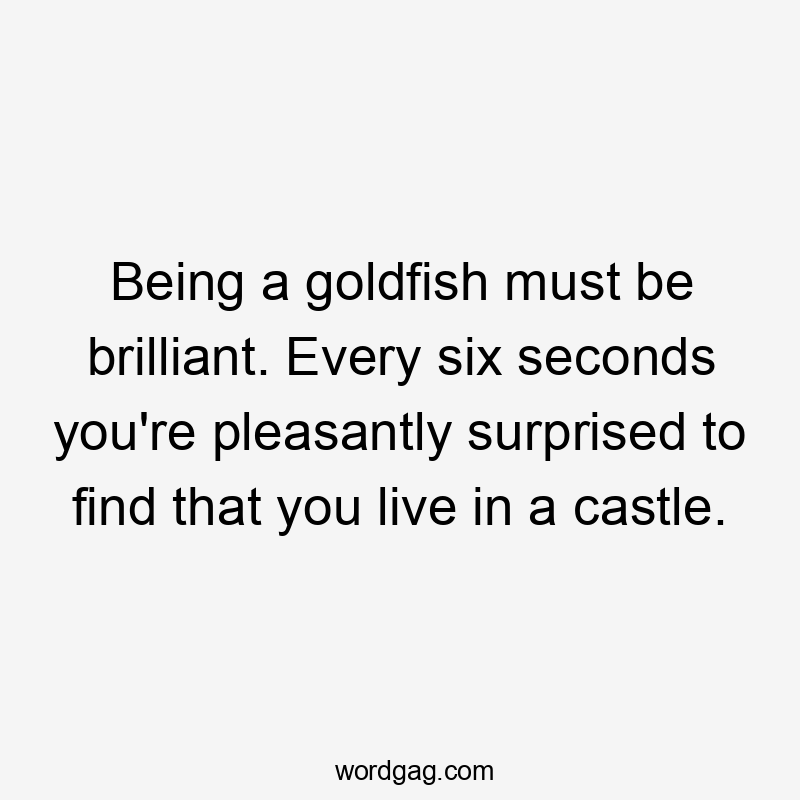 Being a goldfish must be brilliant. Every six seconds you’re pleasantly surprised to find that you live in a castle.