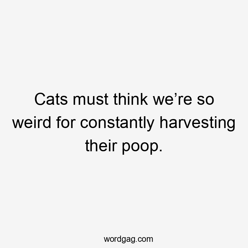 Cats must think we’re so weird for constantly harvesting their poop.