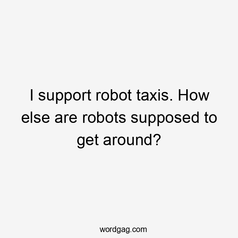 I support robot taxis. How else are robots supposed to get around?