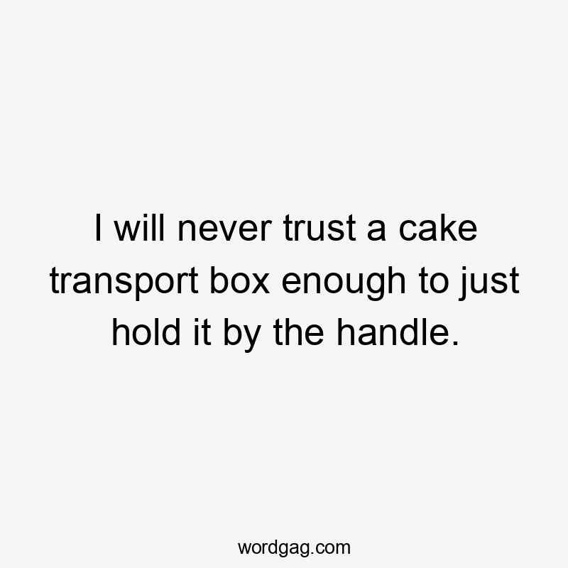 I will never trust a cake transport box enough to just hold it by the handle.