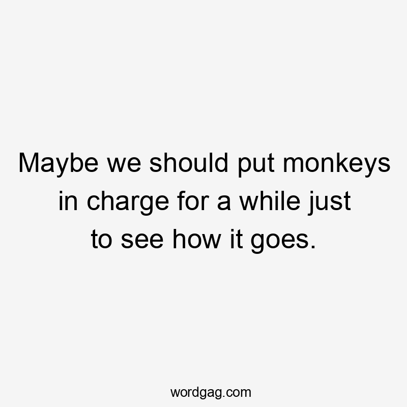 Maybe we should put monkeys in charge for a while just to see how it goes.