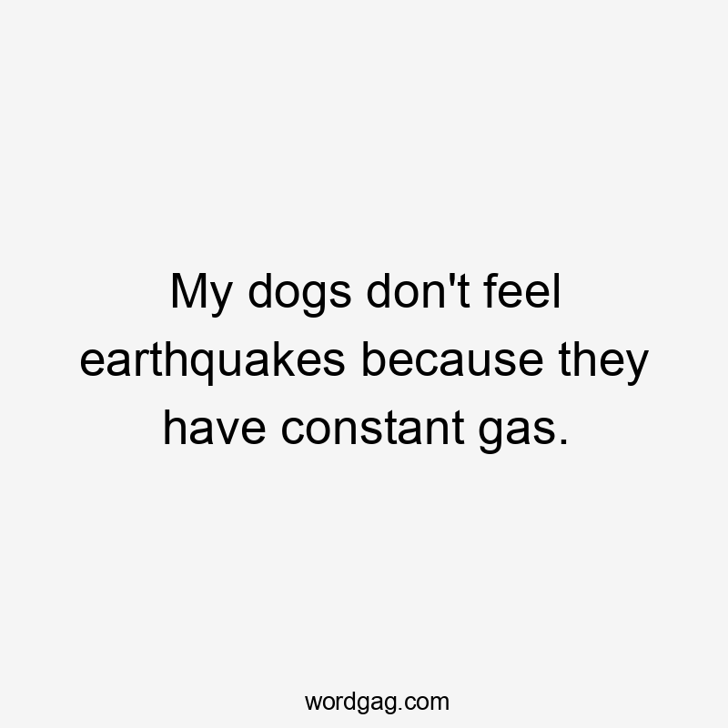 My dogs don’t feel earthquakes because they have constant gas.