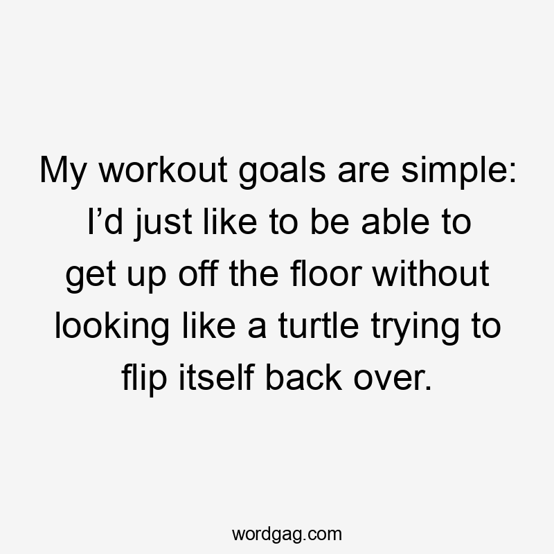 My workout goals are simple: I’d just like to be able to get up off the floor without looking like a turtle trying to flip itself back over.