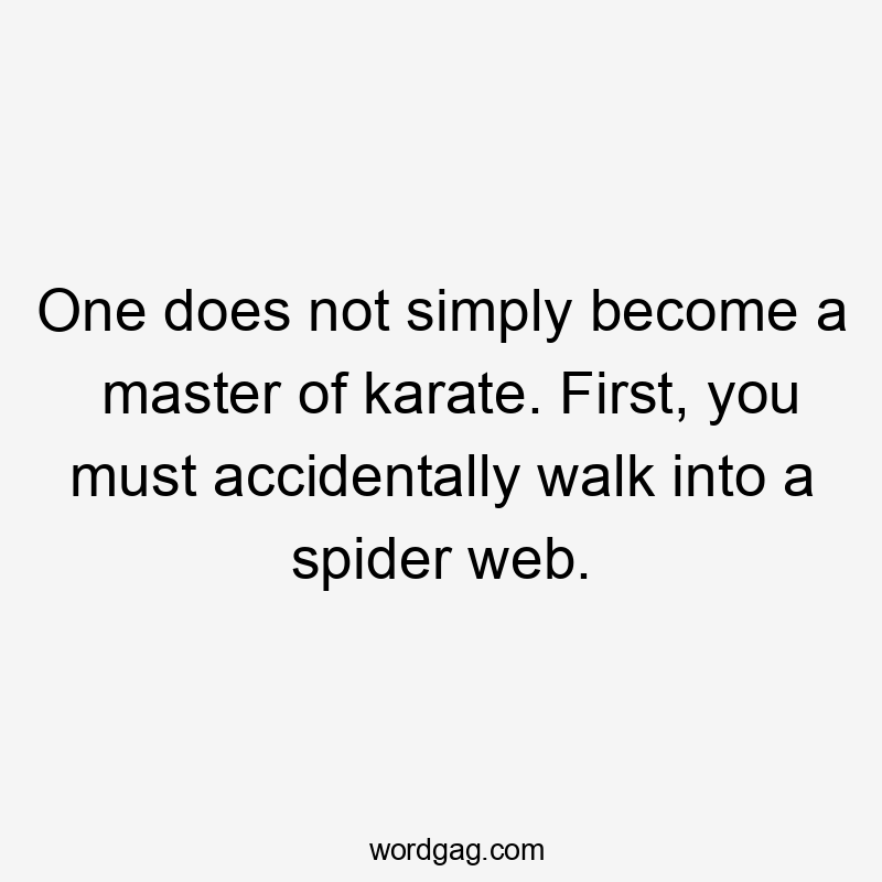 One does not simply become a master of karate. First, you must accidentally walk into a spider web.