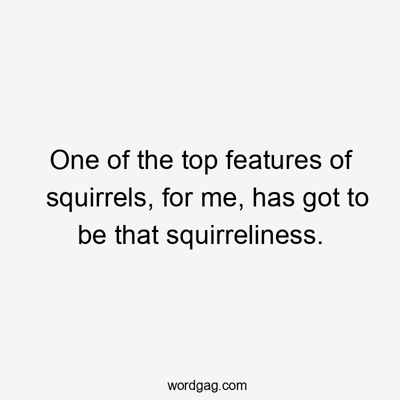 One of the top features of squirrels, for me, has got to be that squirreliness.