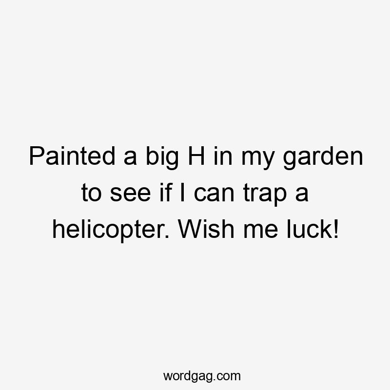 Painted a big H in my garden to see if I can trap a helicopter. Wish me luck!