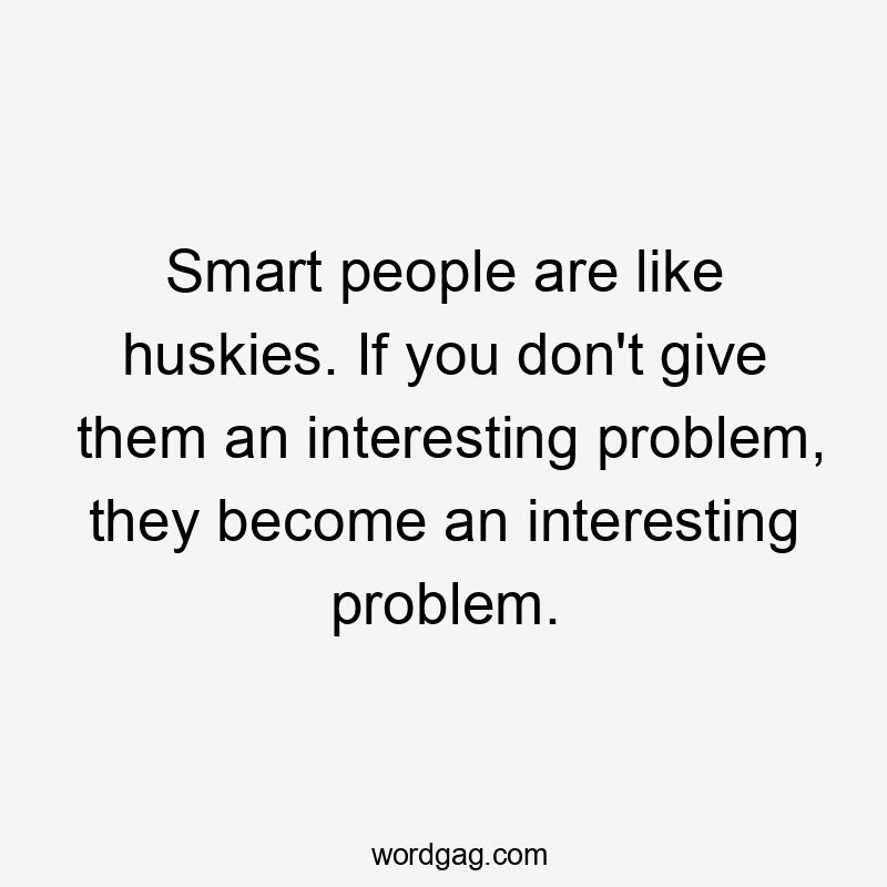 Smart people are like huskies. If you don't give them an interesting problem, they become an interesting problem.