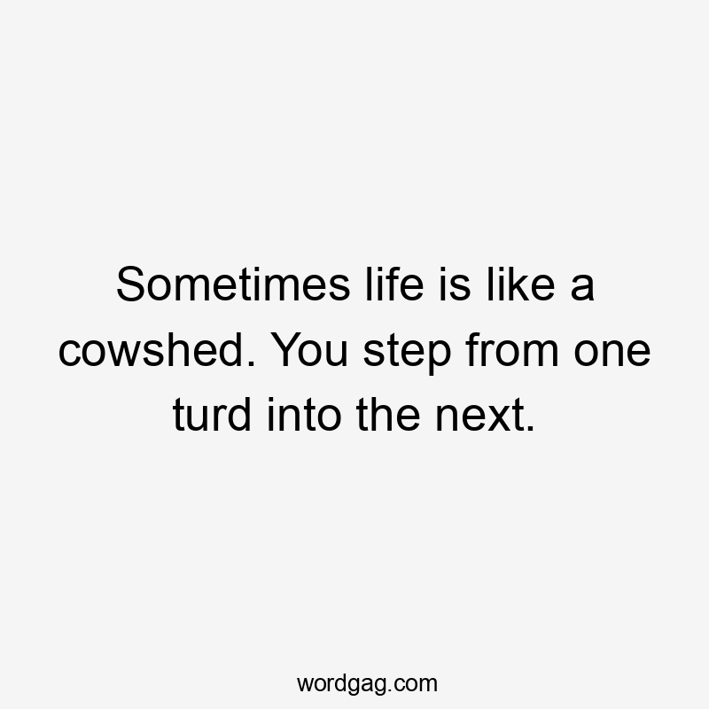 Sometimes life is like a cowshed. You step from one turd into the next.