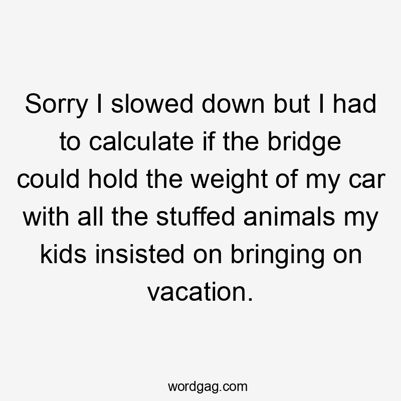 Sorry I slowed down but I had to calculate if the bridge could hold the weight of my car with all the stuffed animals my kids insisted on bringing on vacation.