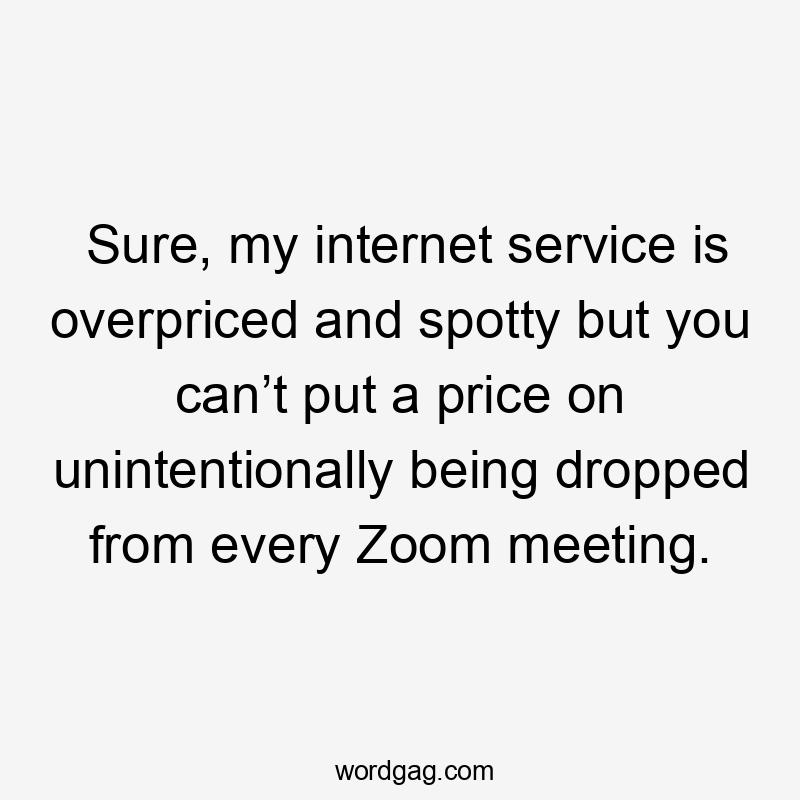 Sure, my internet service is overpriced and spotty but you can’t put a price on unintentionally being dropped from every Zoom meeting.
