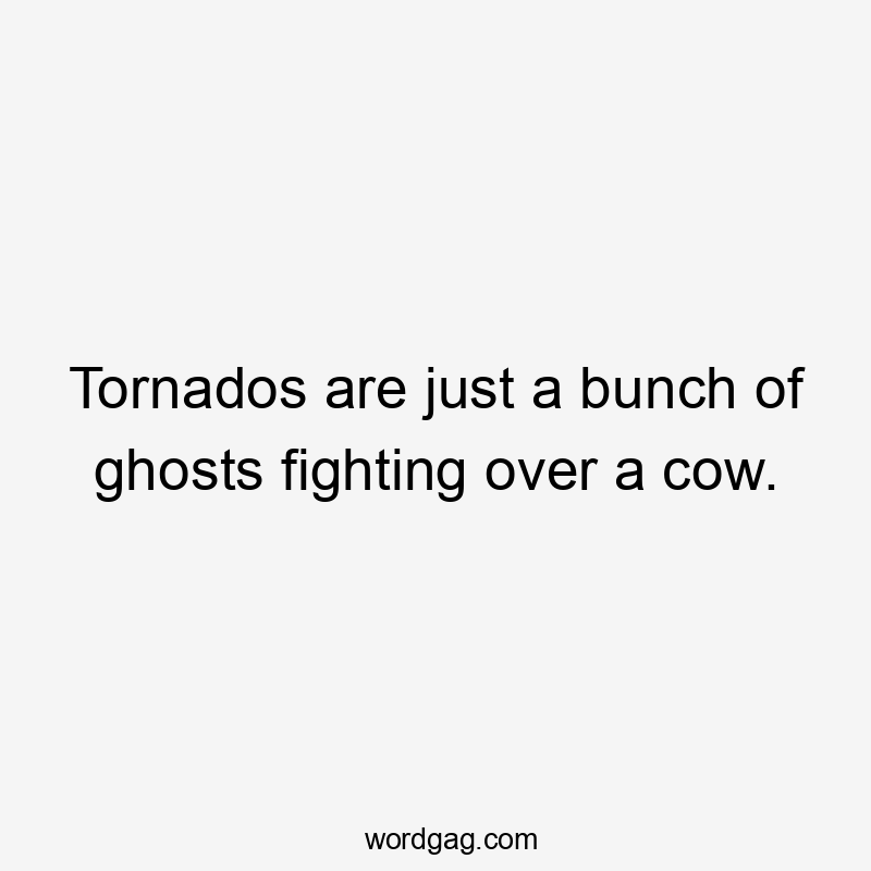 Tornados are just a bunch of ghosts fighting over a cow.