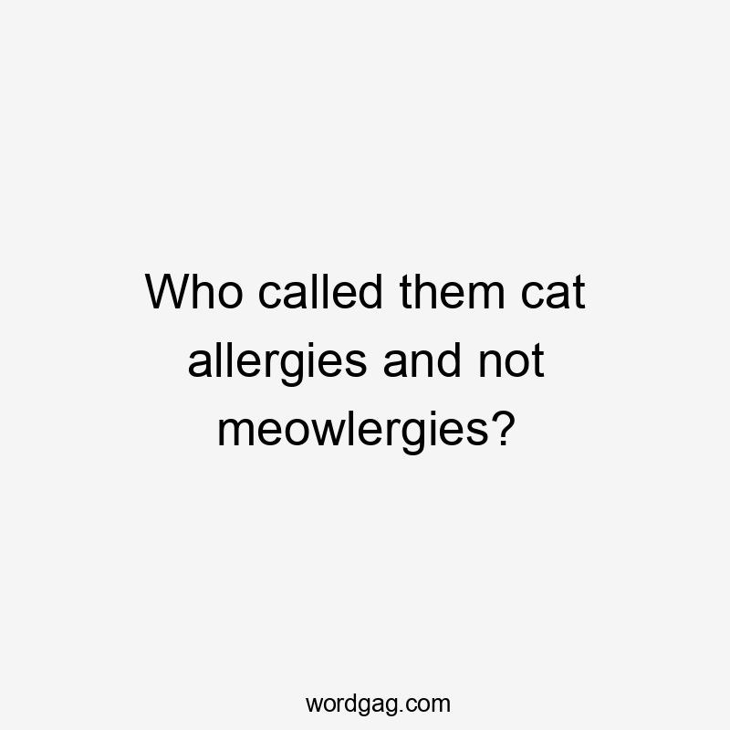 Who called them cat allergies and not meowlergies?