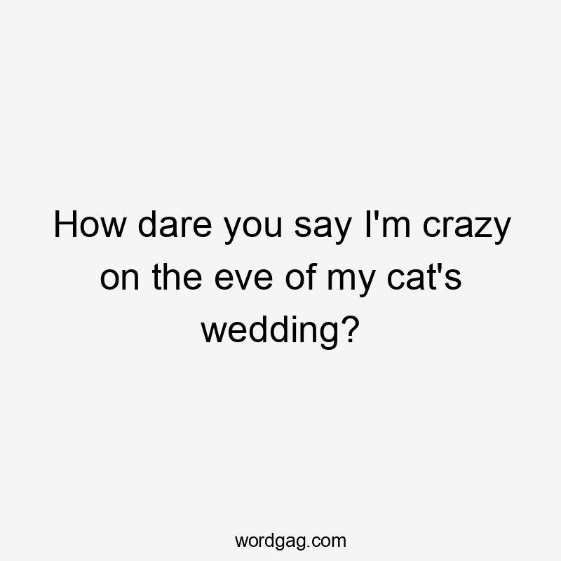 How dare you say I'm crazy on the eve of my cat's wedding?