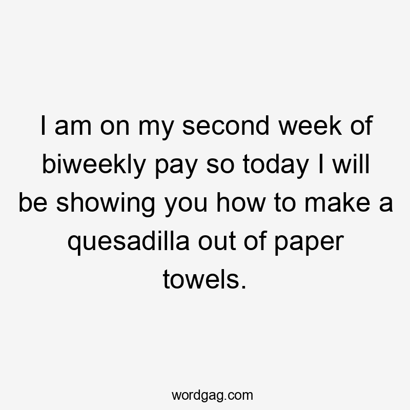 I am on my second week of biweekly pay so today I will be showing you how to make a quesadilla out of paper towels.