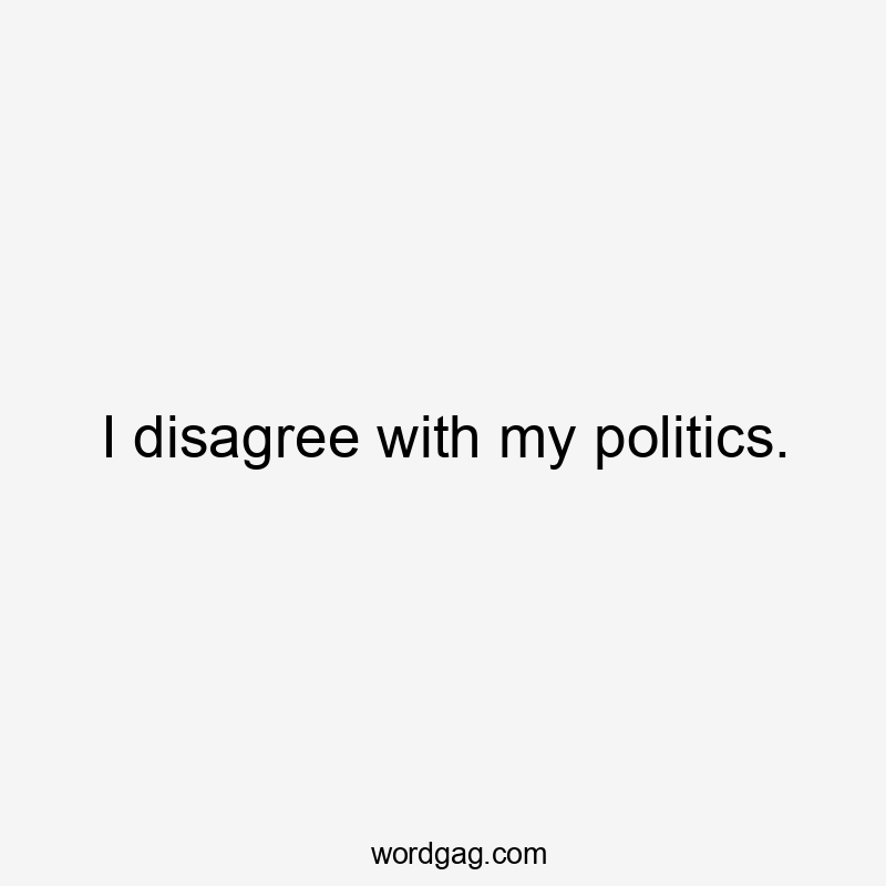 I disagree with my politics.