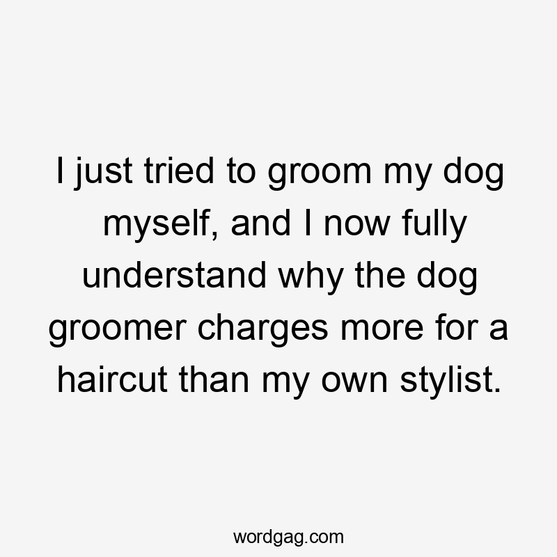 I just tried to groom my dog myself, and I now fully understand why the dog groomer charges more for a haircut than my own stylist.