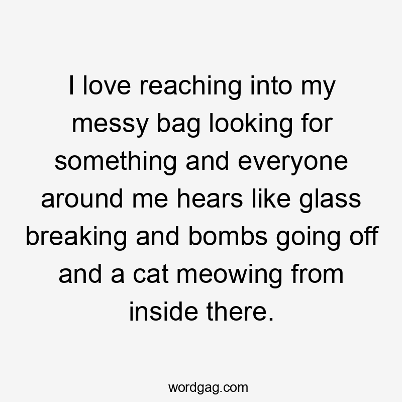 I love reaching into my messy bag looking for something and everyone around me hears like glass breaking and bombs going off and a cat meowing from inside there.