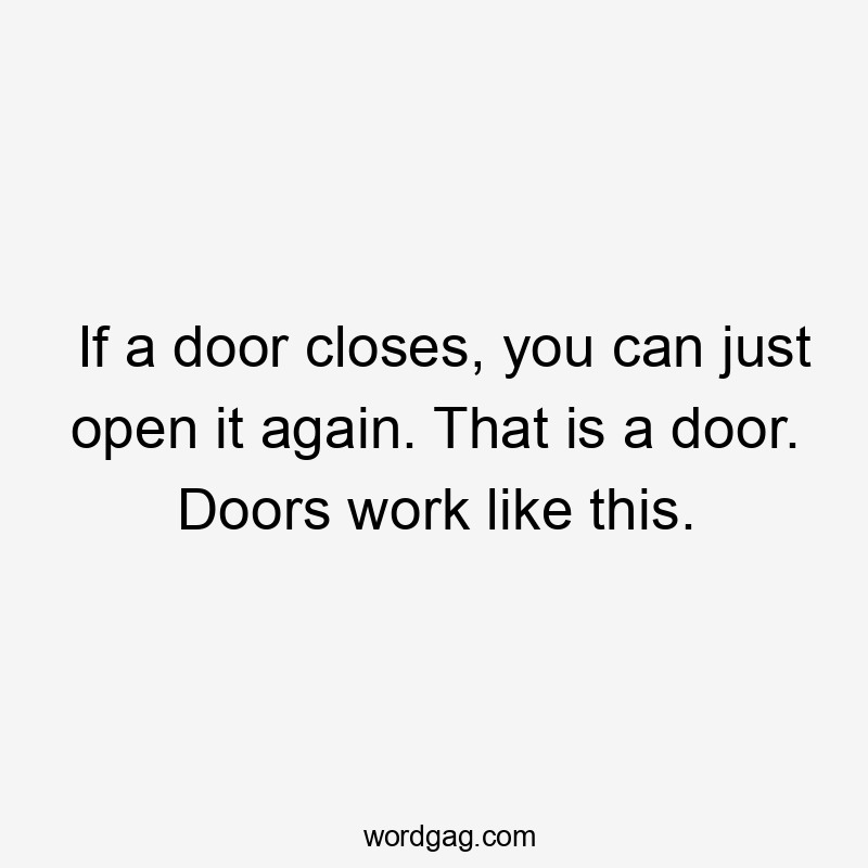 If a door closes, you can just open it again. That is a door. Doors work like this.