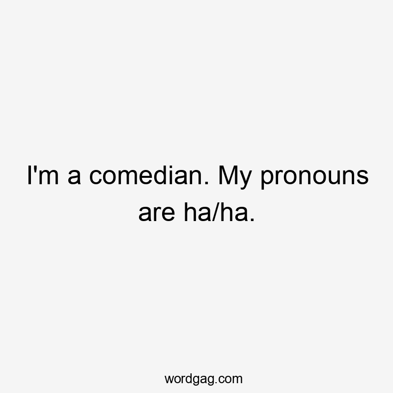 I'm a comedian. My pronouns are ha/ha.