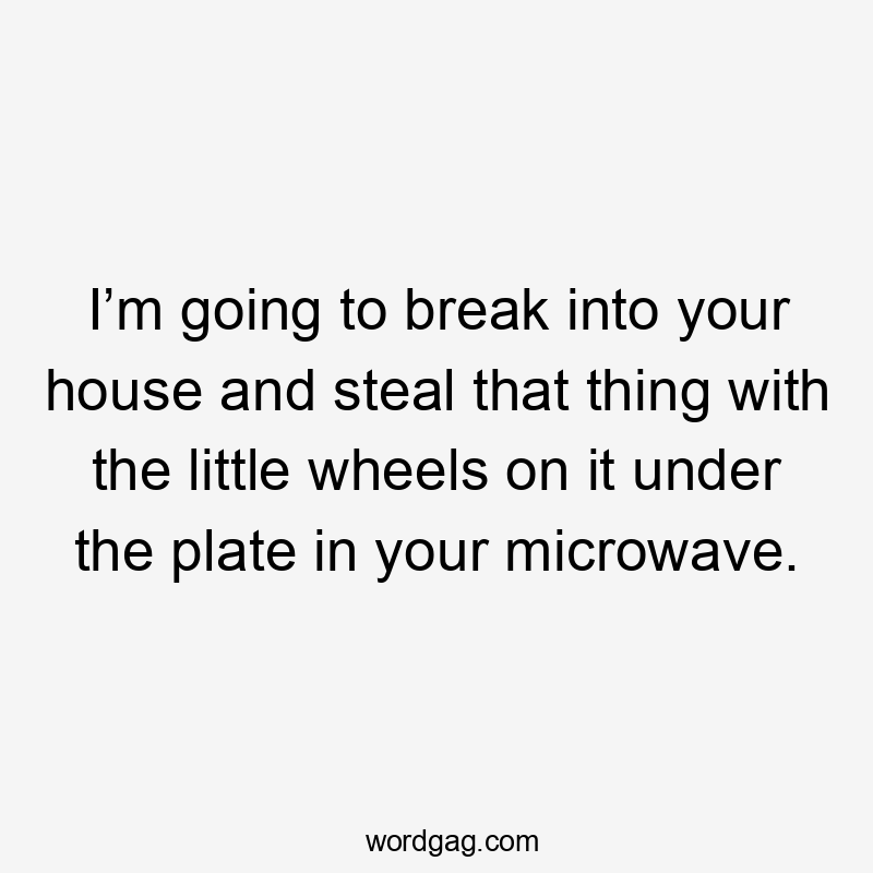 I’m going to break into your house and steal that thing with the little wheels on it under the plate in your microwave.