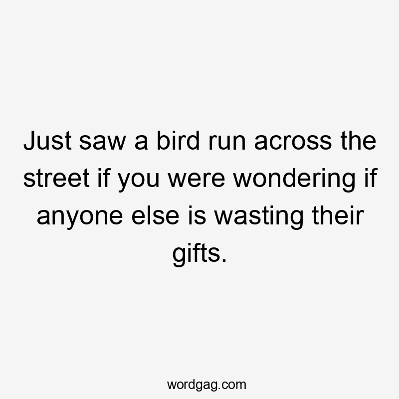 Just saw a bird run across the street if you were wondering if anyone else is wasting their gifts.