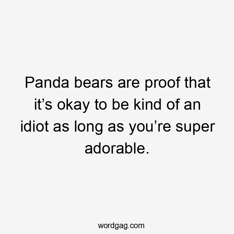 Panda bears are proof that it’s okay to be kind of an idiot as long as you’re super adorable.