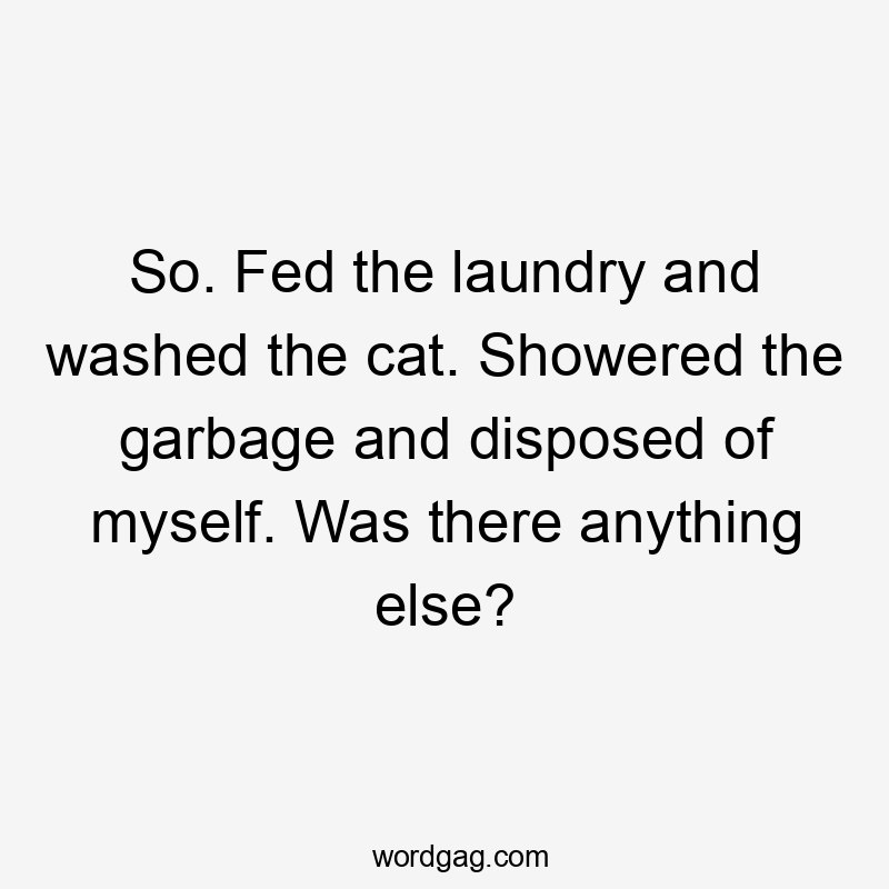 So. Fed the laundry and washed the cat. Showered the garbage and disposed of myself. Was there anything else?