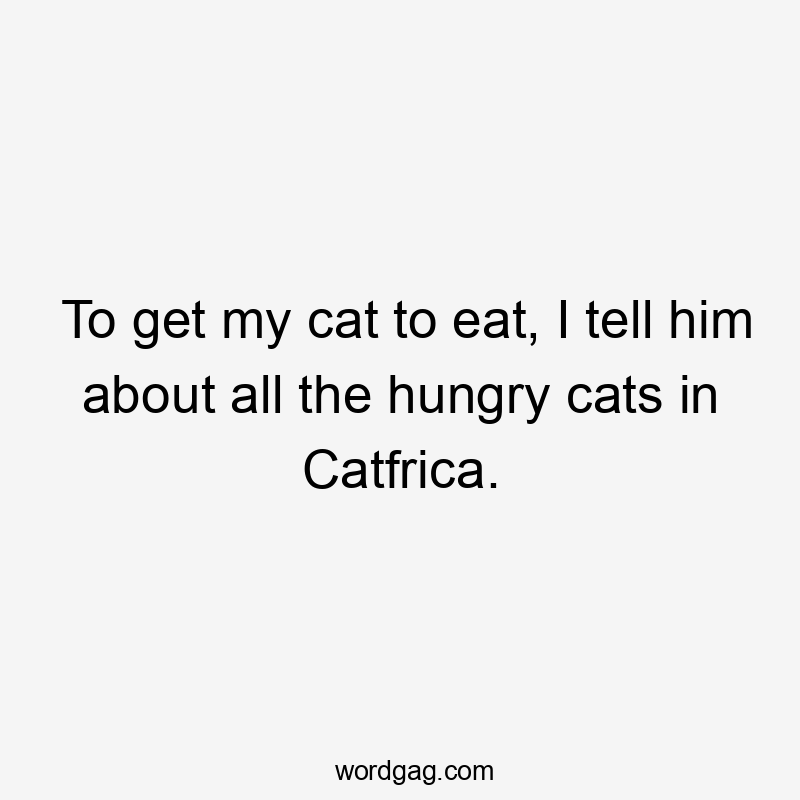 To get my cat to eat, I tell him about all the hungry cats in Catfrica.