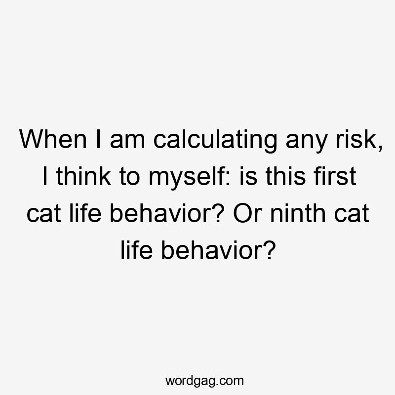 When I am calculating any risk, I think to myself: is this first cat life behavior? Or ninth cat life behavior?