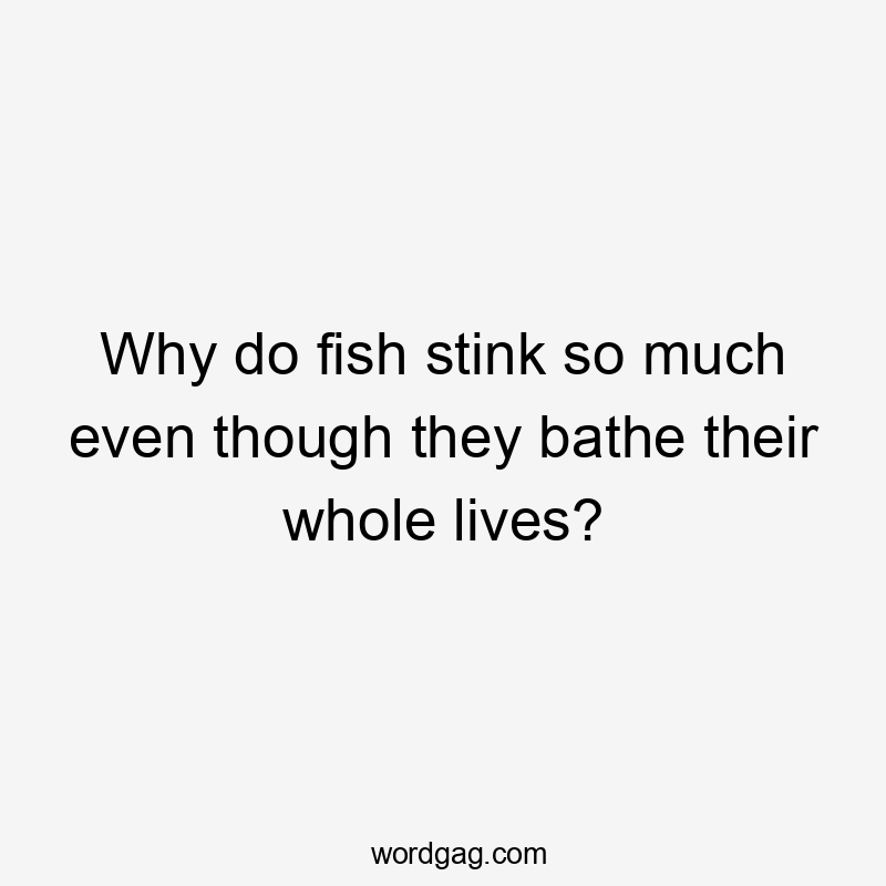 Why do fish stink so much even though they bathe their whole lives?