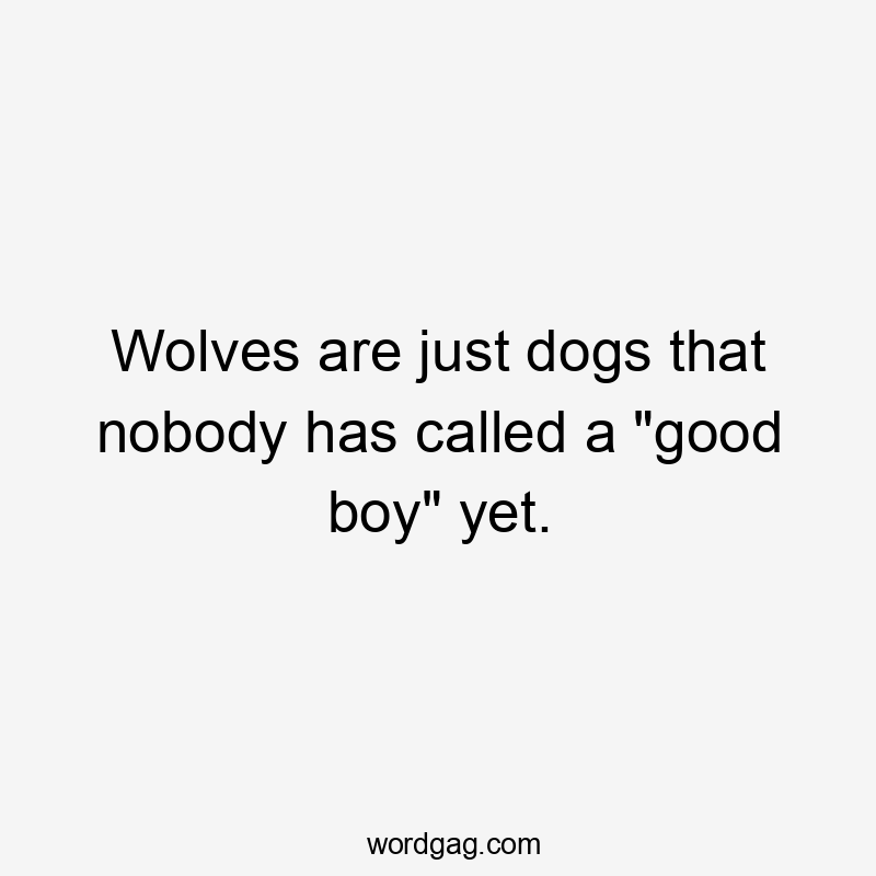 Wolves are just dogs that nobody has called a "good boy" yet.