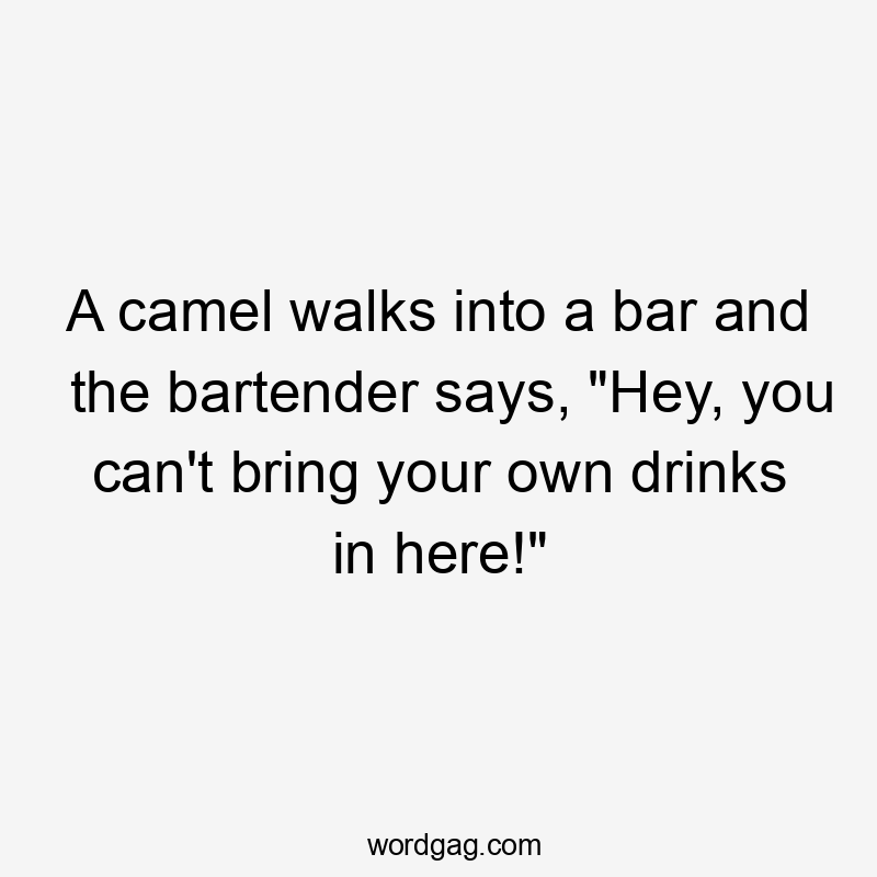 A camel walks into a bar and the bartender says, "Hey, you can't bring your own drinks in here!"