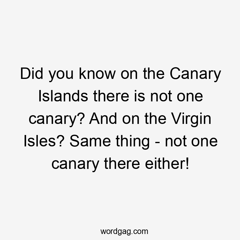 Did you know on the Canary Islands there is not one canary? And on the Virgin Isles? Same thing - not one canary there either!