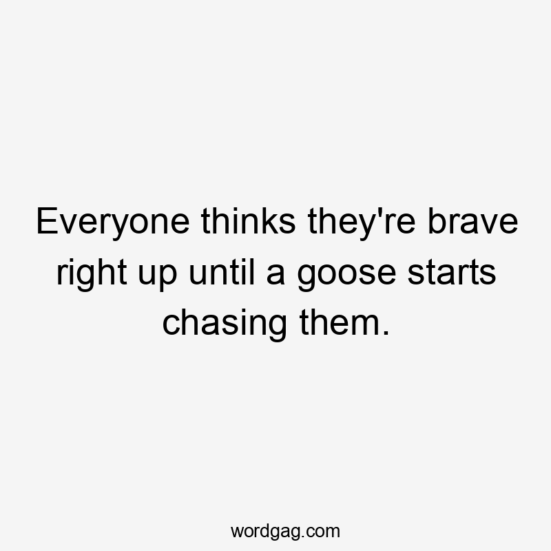 Everyone thinks they're brave right up until a goose starts chasing them.