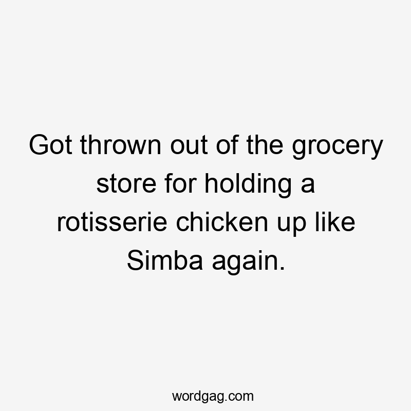 Got thrown out of the grocery store for holding a rotisserie chicken up like Simba again.