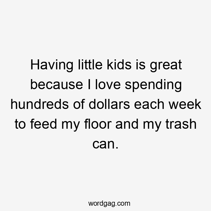 Having little kids is great because I love spending hundreds of dollars each week to feed my floor and my trash can.