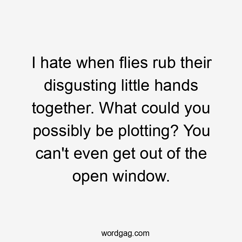 I hate when flies rub their disgusting little hands together. What could you possibly be plotting? You can't even get out of the open window.