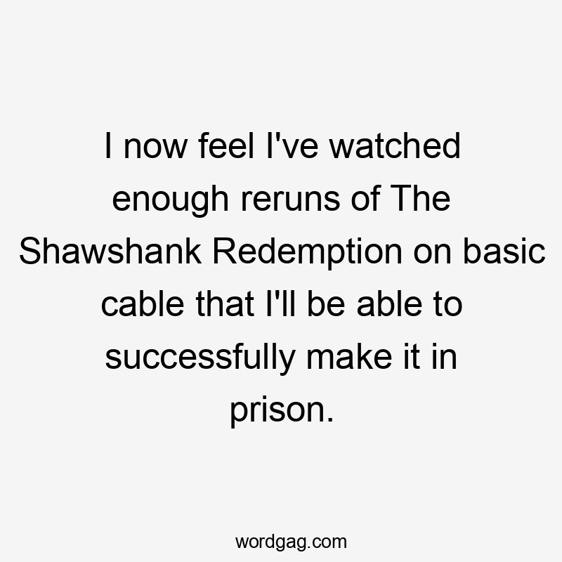 I now feel I've watched enough reruns of The Shawshank Redemption on basic cable that I'll be able to successfully make it in prison.