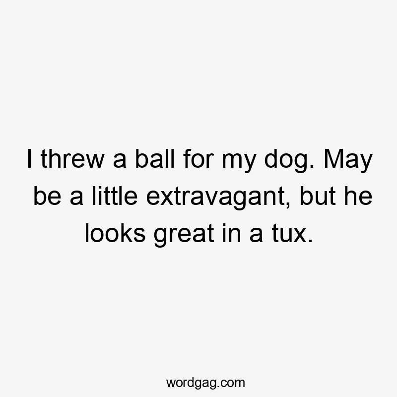 I threw a ball for my dog. May be a little extravagant, but he looks great in a tux.