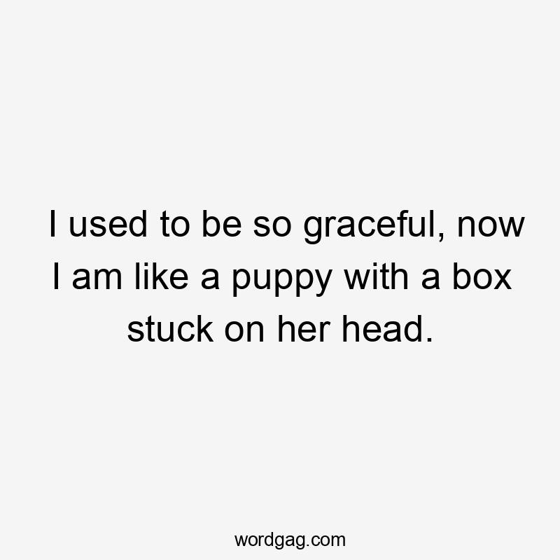 I used to be so graceful, now I am like a puppy with a box stuck on her head.