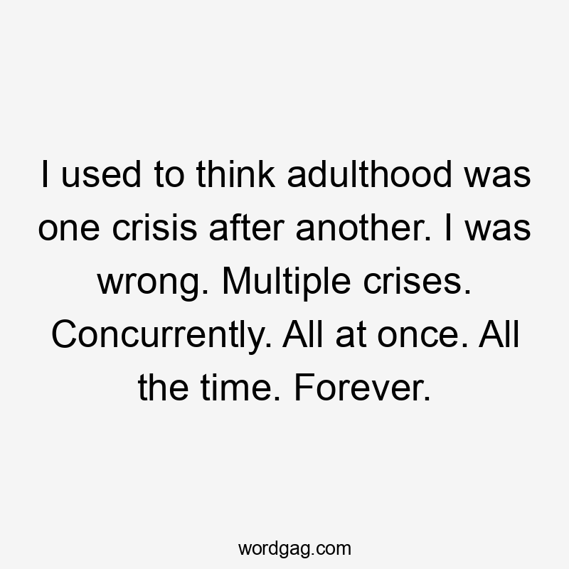 I used to think adulthood was one crisis after another. I was wrong. Multiple crises. Concurrently. All at once. All the time. Forever.