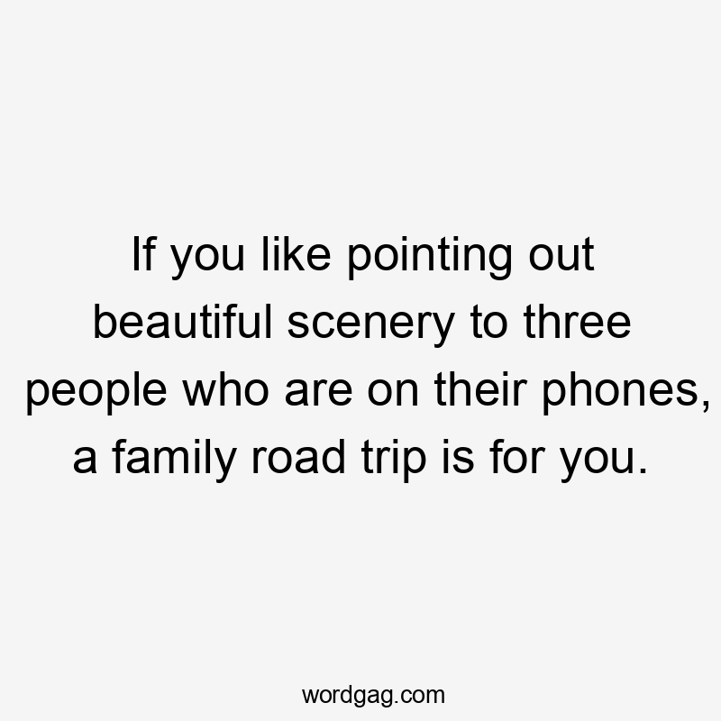 If you like pointing out beautiful scenery to three people who are on their phones, a family road trip is for you.