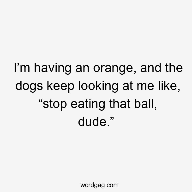 I’m having an orange, and the dogs keep looking at me like, “stop eating that ball, dude.”