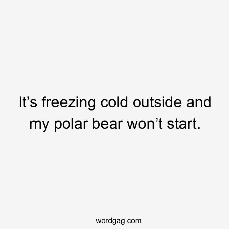 It’s freezing cold outside and my polar bear won’t start.