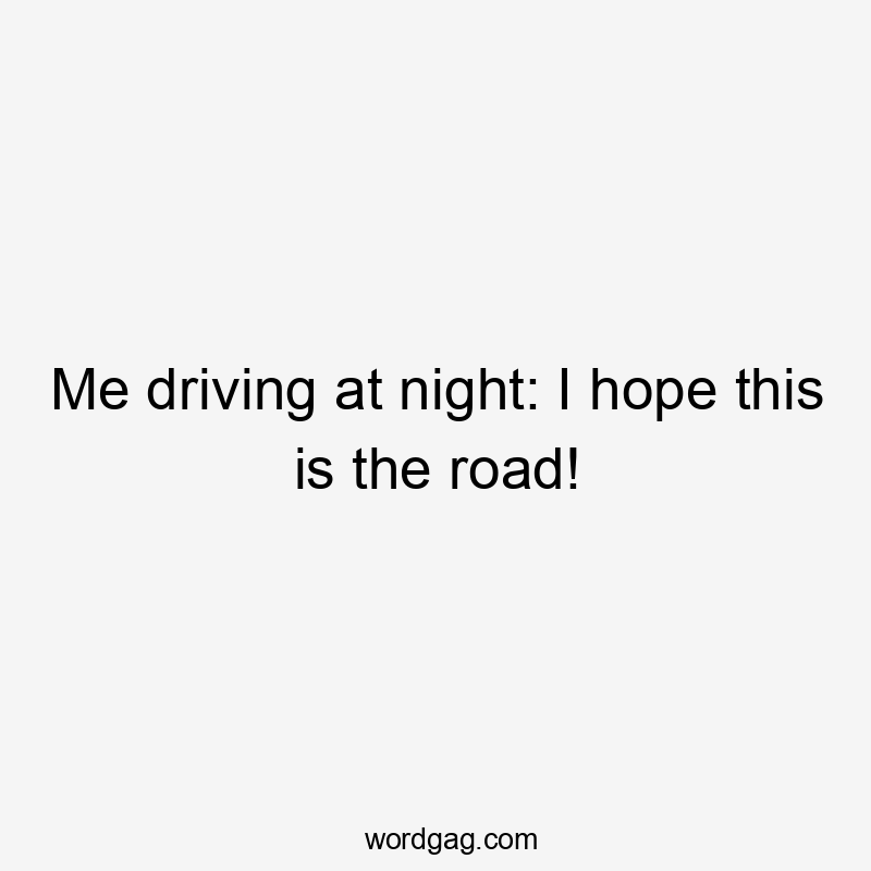 Me driving at night: I hope this is the road!