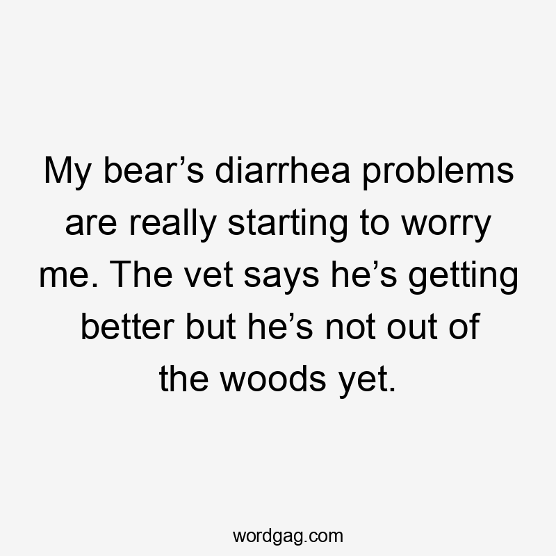 My bear’s diarrhea problems are really starting to worry me. The vet says he’s getting better but he’s not out of the woods yet.